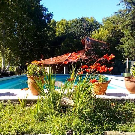Cabanas Los Platanos La Granja Extérieur photo