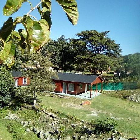 Cabanas Los Platanos La Granja Extérieur photo