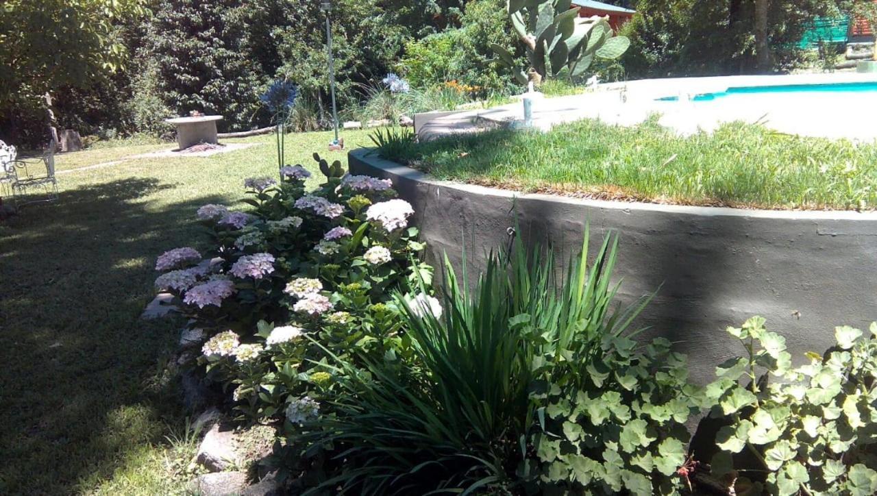 Cabanas Los Platanos La Granja Extérieur photo
