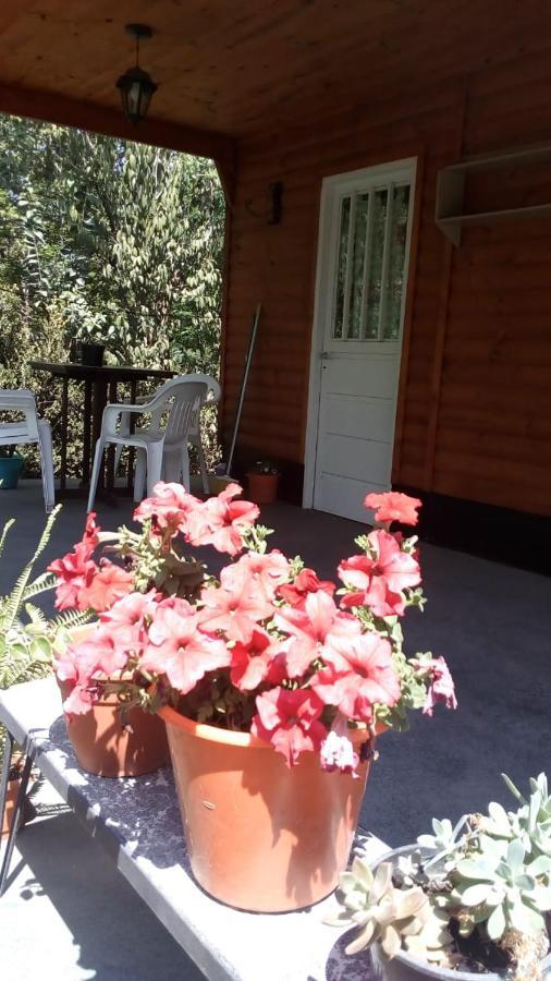 Cabanas Los Platanos La Granja Extérieur photo