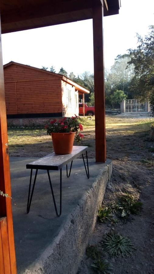 Cabanas Los Platanos La Granja Extérieur photo