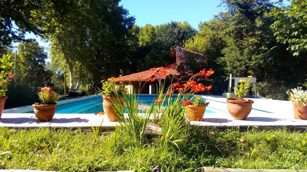 Cabanas Los Platanos La Granja Extérieur photo