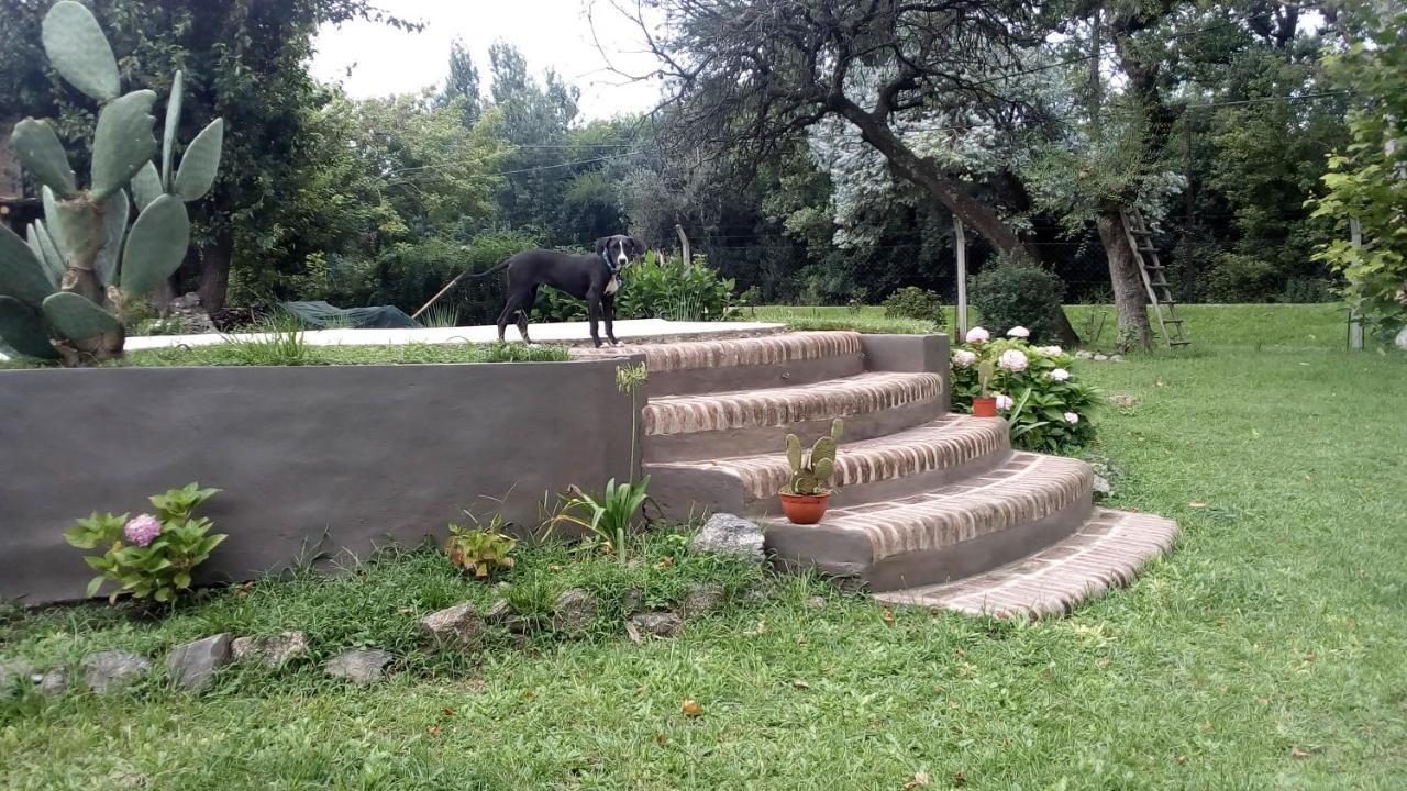 Cabanas Los Platanos La Granja Extérieur photo